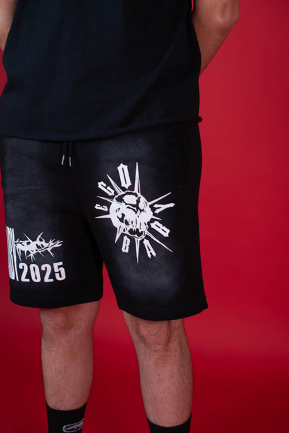 EB 2025 Shorts